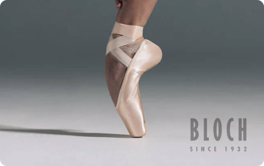 Customer story Bloch