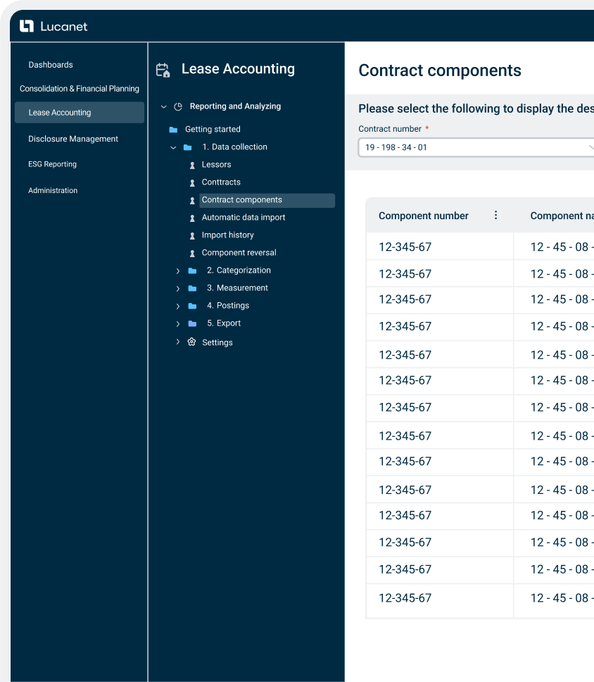 Lease Accounting in Lucanet
