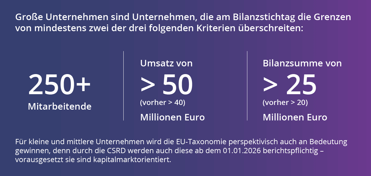 CSRD Kriterien Große Unternehmen