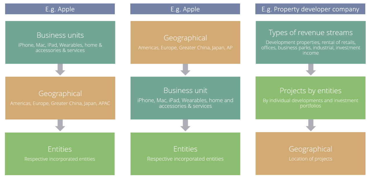 segmental management consolidation