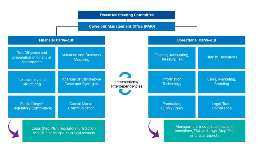 Basic structure of effective carve-out management for spin-offs and IPOs